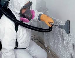 Mold Removal for HVAC Installations in Lasalle, IL